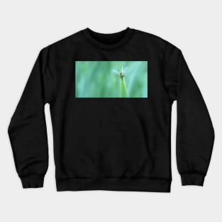 "Help me!....Help me!..." Crewneck Sweatshirt